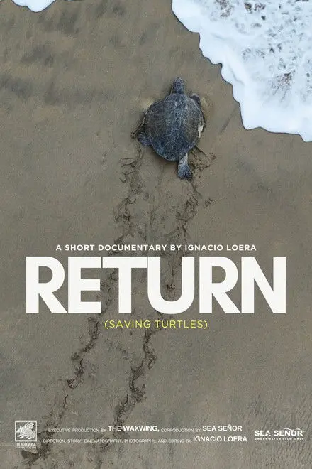 Return Saving Turtles